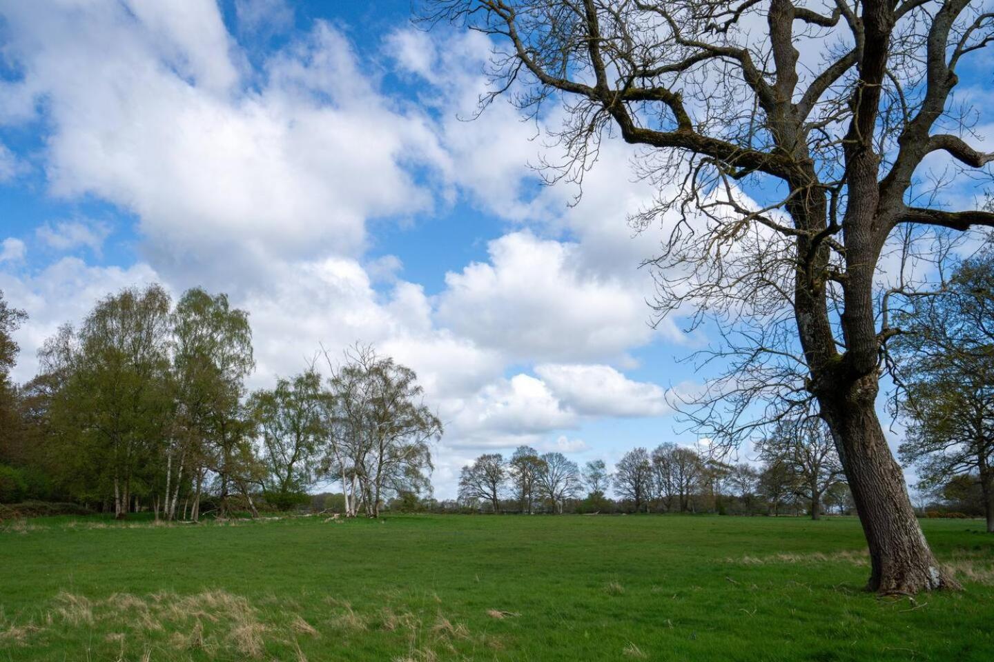 Pass The Keys Fourshires Lodge Wonderful Panoramic Views Moreton-in-Marsh Luaran gambar